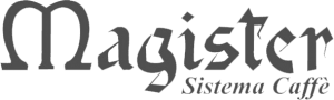 magister logo grey